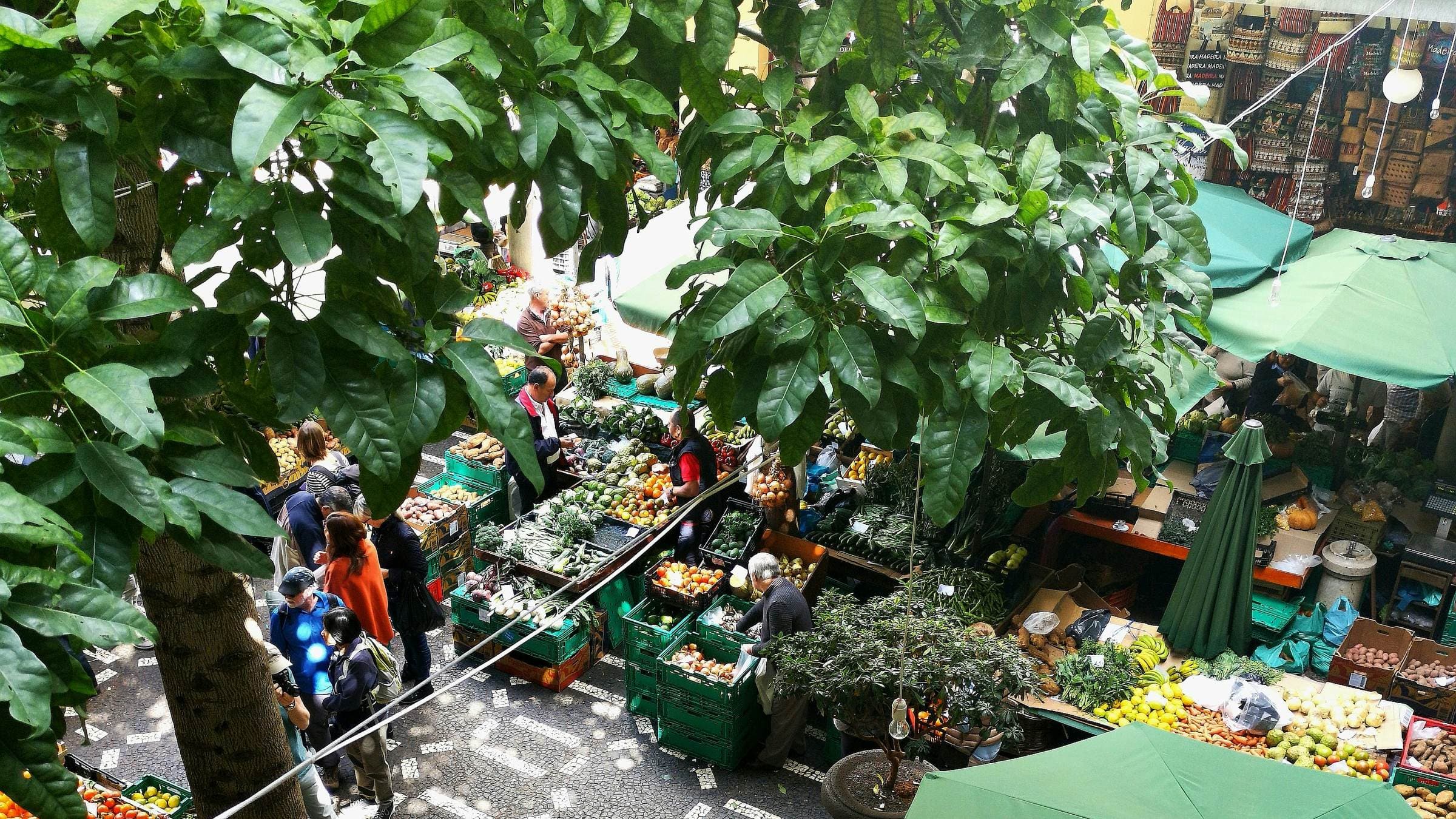 A market seen from above through the trees, stalls of fruit and vegetables below